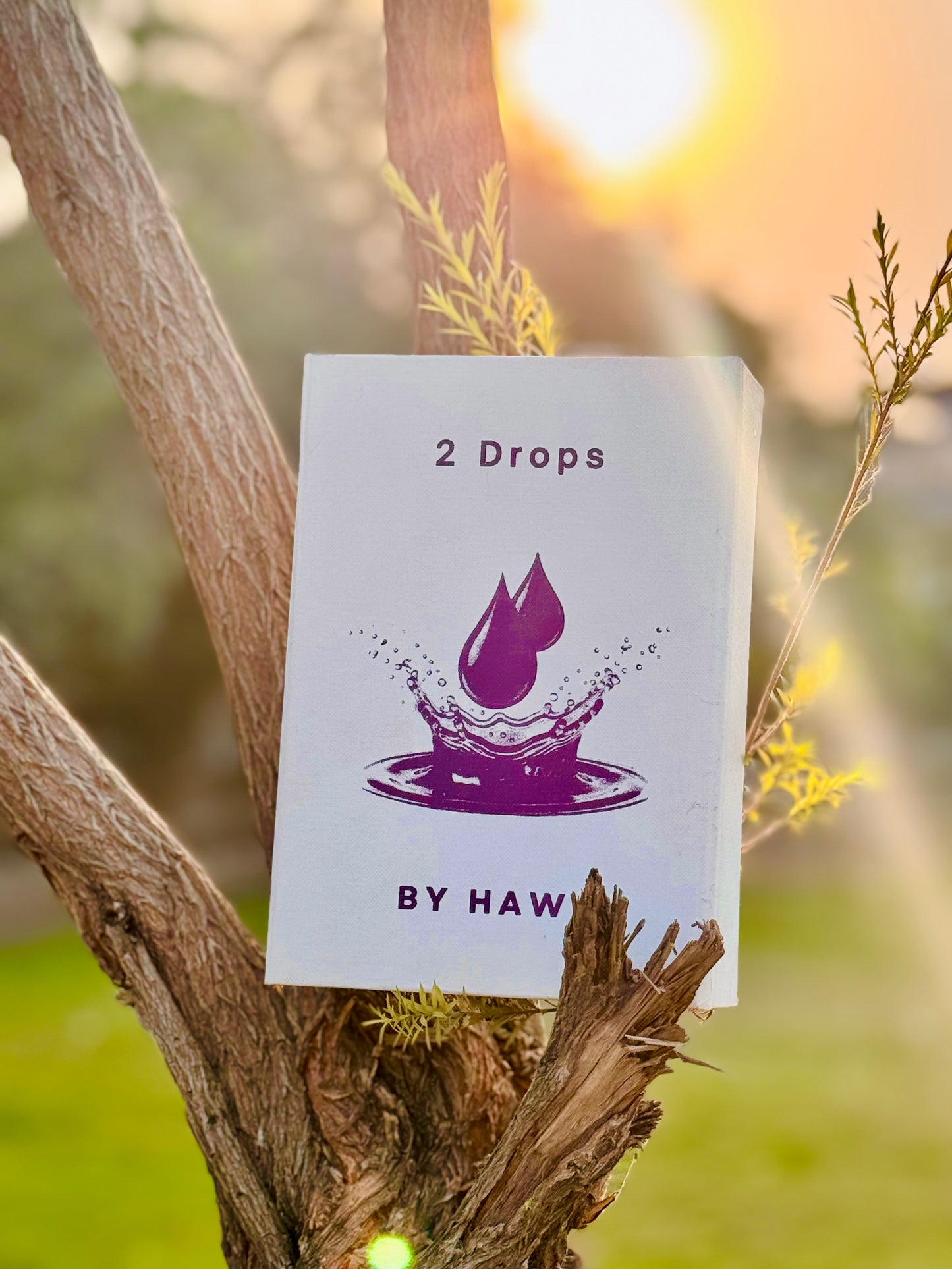 Skin Glowing Kit by 2 Drops