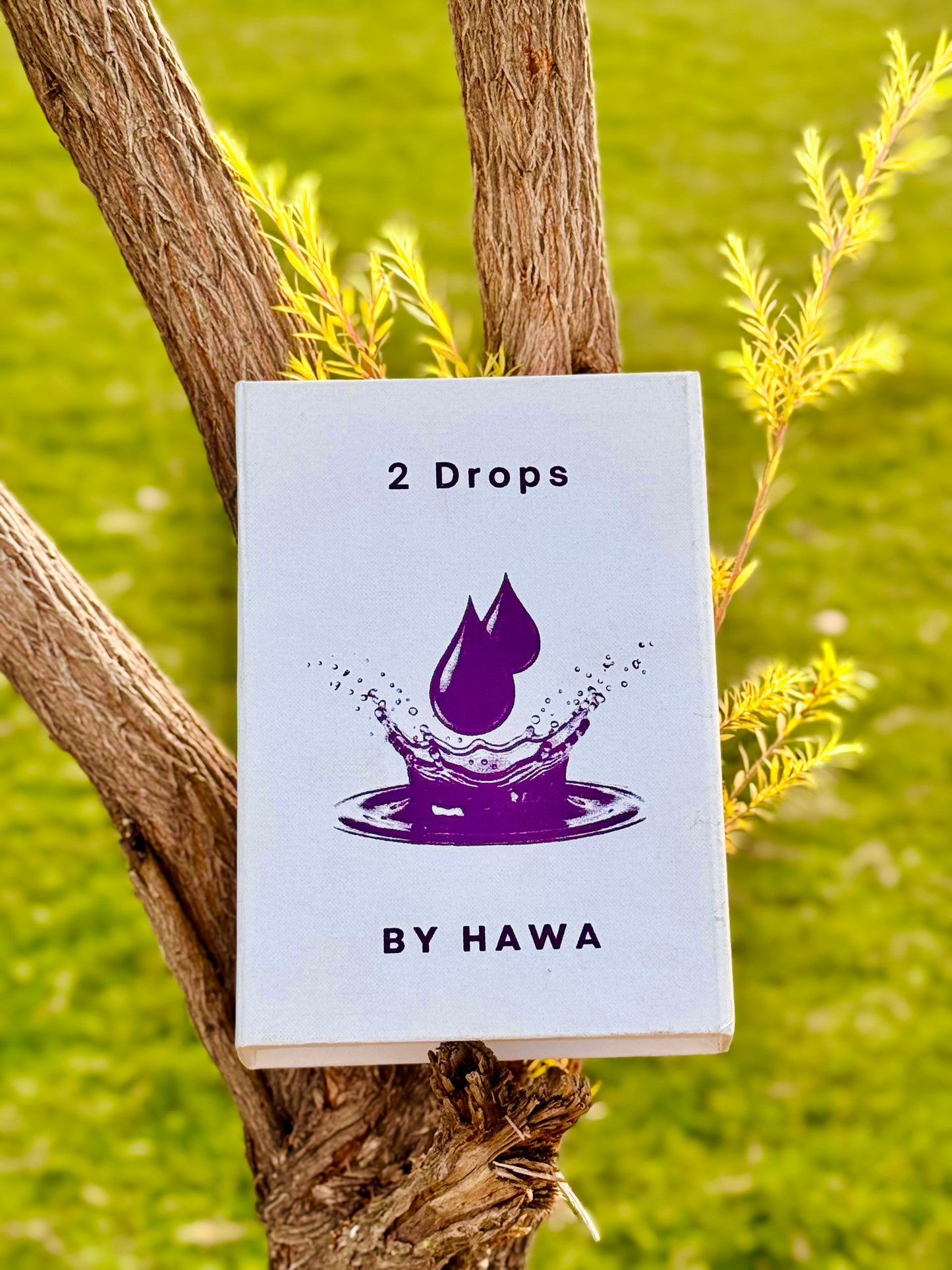 Skin Glowing Kit by 2 Drops